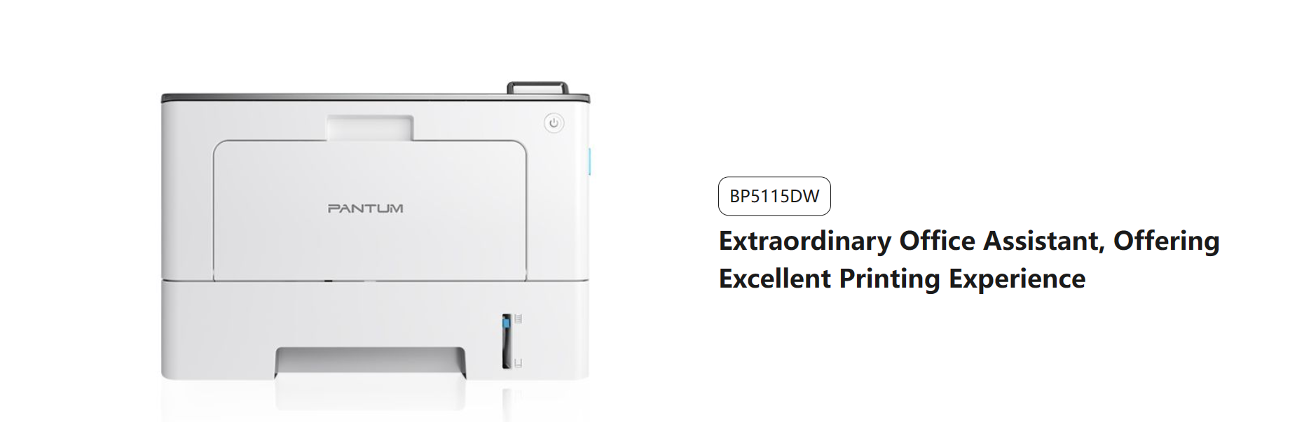 Pantum BP5115DW Mono Laser Single Function Printer