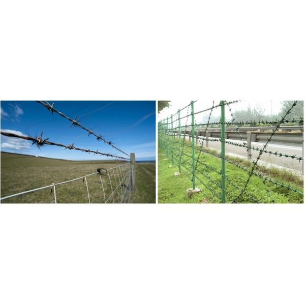 Decorative Use Barbed Wire Fence Corrosion Resistant Firm Frame Compact Size
