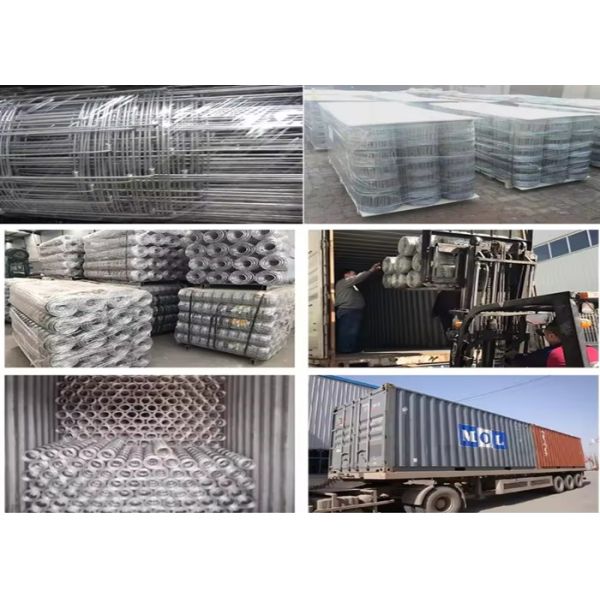 Farm Fence / Farm Fence Post 6inch Hole Spacing Zinc Coating Fence Panels for Security 50m Length