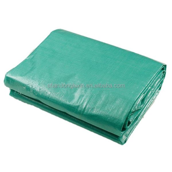 Customizable Color Heavy Duty Waterproof PE Tarpaulin for Tents Awning Roof Covering