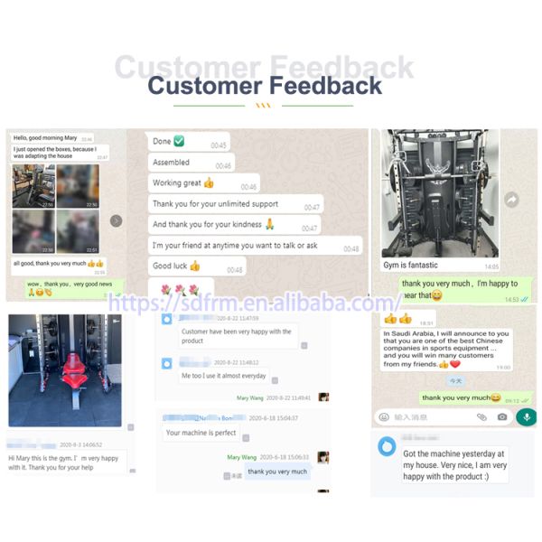 Gym Strength Training Plate Loaded Machines Seated Bicep Tricep Machine