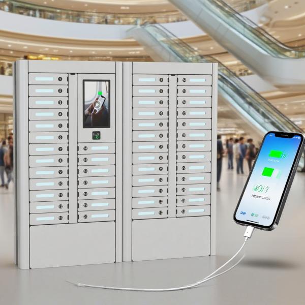 Basic Anti-Theft Mobile Device Charging Locker Cell Phone Charging Stations For Daily Use With Touch Screen