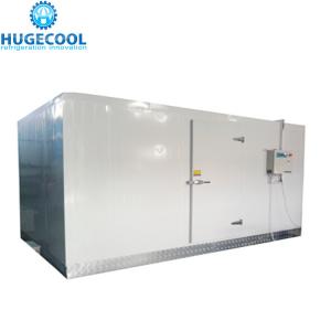 China Walk In Chiller Freezer Cold Room 1 Year Warranty With Air Conditioning wholesale