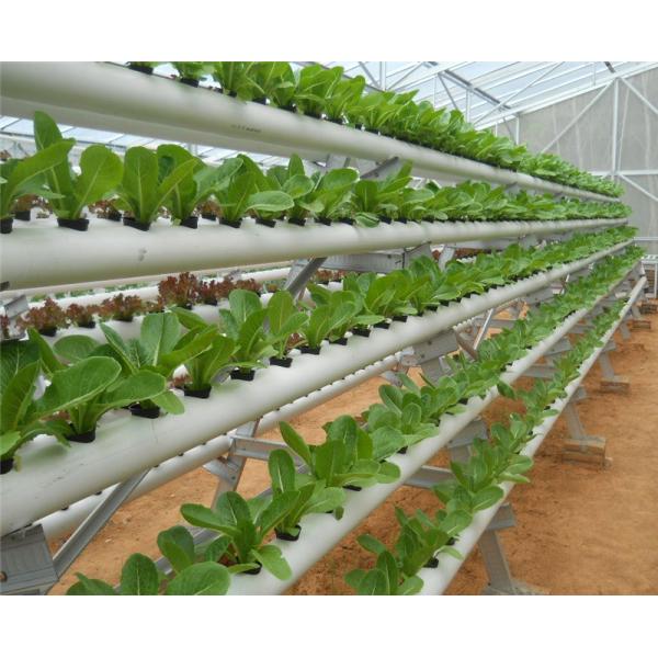 Bolting Connection Polycarbonate Panel Greenhouse , Durable Dome Shaped Greenhouse