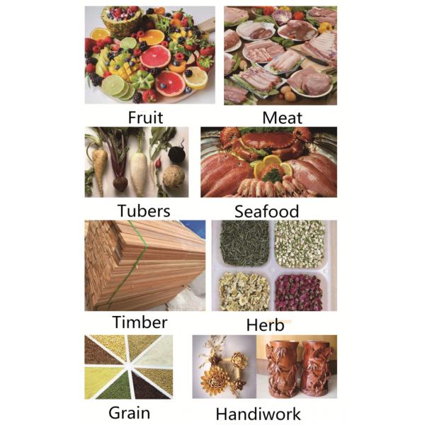 High Yield Stable Cashew Nut Dryer Machine Fast Drying Speed