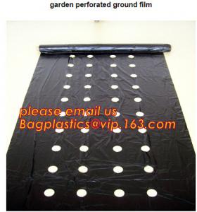 China perforated ground film, Vapor Barrier film, Greenhouse film, Agricultural Panda Film, Reflective Maylar Film wholesale