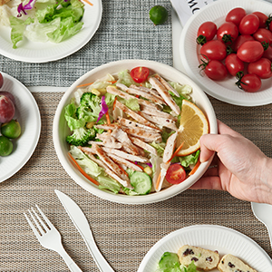 disposable bowls 32oz