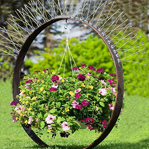 Bird Spikes for Pigeons Small Birds,Stainless Steel Bird Spikes -No More Bird Nests & Poop-Disassembled Spikes 10 Strips