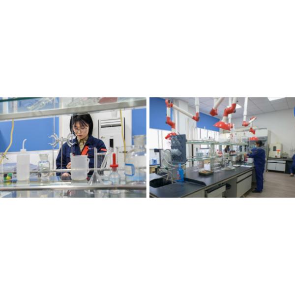 Jiangsu Lihong Technology Development Co., Ltd. Special Polyurethane Material Developer ! 