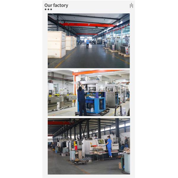 Pill Tablet Press Machine Automatic ZP 17 19 GMP CE For Powder