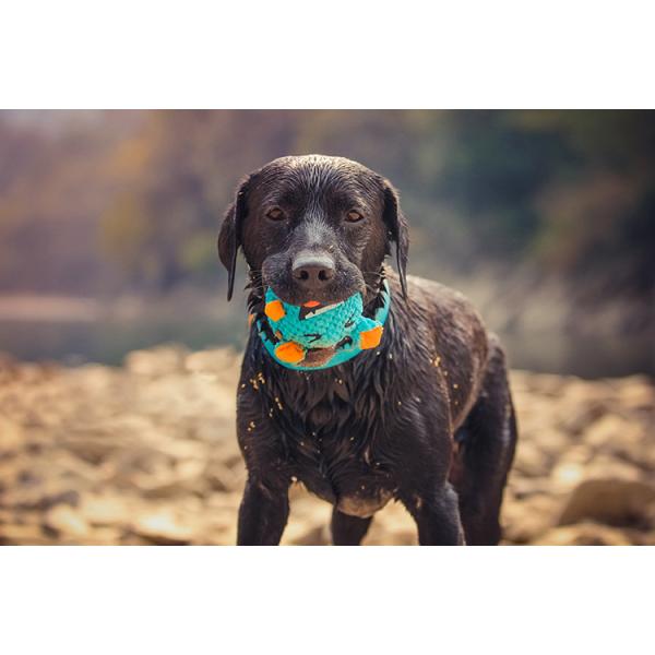 Sturdy Indestructible Plush Dog Toys For Aggressive Chewers Velvet Sound 6.5cm