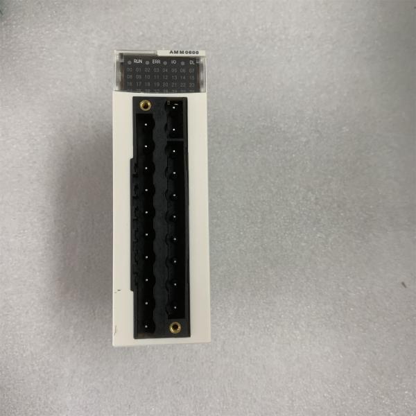 SCHNEIDER BMXAMM0600 MODICON INPUT/OUTPUT MODULE ANALOG 2 OUT NEW