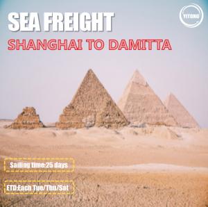 China 3 Shifts / Week Global Sea Freight Logistics Shanghai To Damitta Egypt Direct Sailing wholesale