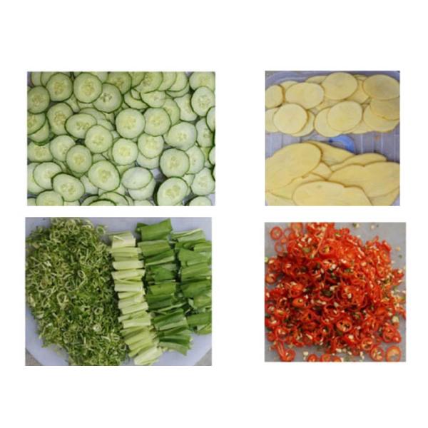 Double Heads Multi Function Onion Cutter Equipment / Electric Cabbage Slicer