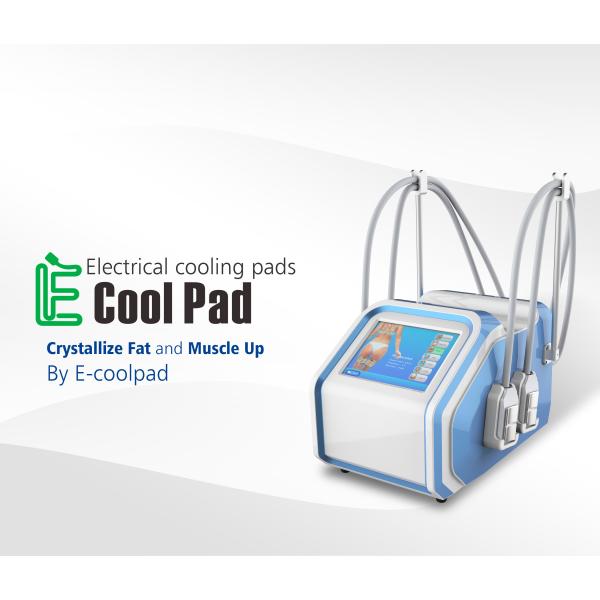 Home Cryolipolysis Fat Freezing Machine For Body Shape Cellulite Reduction