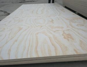 China plywood pine fancy plywood 18mm from SHOUGUANG QIHANG INTERNATIONAL TRADE CO.,LTD wholesale