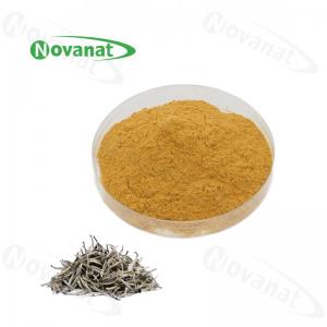 China White Instant Tea Extract Powder 40% Polyphenols / Weight Loss / Food Beverage on sale