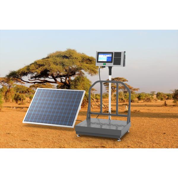 7-Inch AI Intelligent Android System LCD Bench Scale Solar-Powered Weighing Scale kg Units Label Print Traceability OEM ODM
