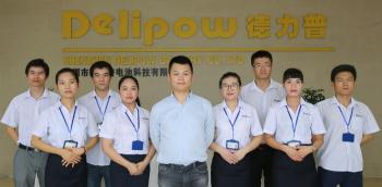 Shenzhen Delipow Battery Co.,ltd