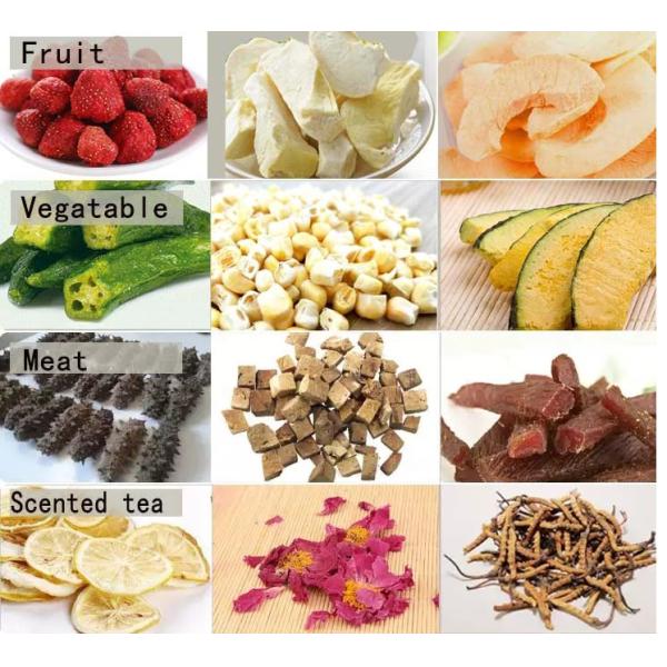 Small Dimension Home Food Freeze Dryer High Performance Convenient Operation