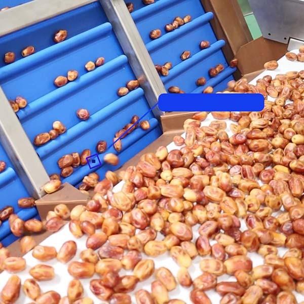 Quality Efficient 6-Lane Palm Dates Sorting Machine Defect Sorting 1.4 Tons per Hour for sale