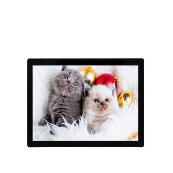 Capacitive 19 Inch Monitor Wall Mount OSD Touch Monitor IPS Embedded