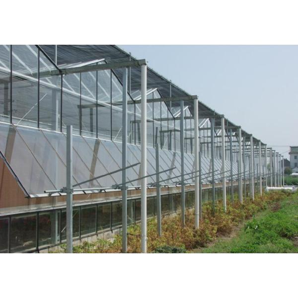 Multi - Span Large Glass Greenhouse For Commercial , Galvanized Steel Greenhouse