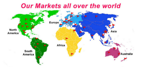 Standard Size Rear Oxygen Sensor Four Pin OEM 8946548280 89465-48280