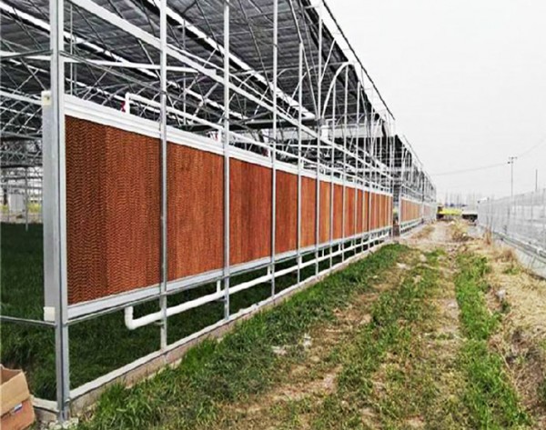 Customized New Material Chicken Farm High Water Resistant Outdoor Cooling System for Chicken House Evaporative Cooling Pads
