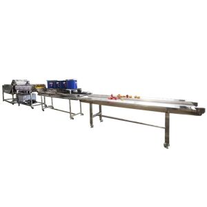 Full Automatic Vegetable Processing Equipment Fruit Processing Line