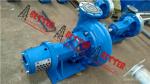 BETTER Doublelife DL 250 Centrifugal Pump and Casing Impeller Stuffing box Shaft