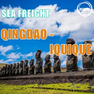 China Qingdao To Iquique Chile  Worldwide Sea Freight  forwarding services 40 days on sale