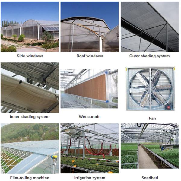 High Elasticity Polyethylene Film Greenhouse For Vegetables And Plants