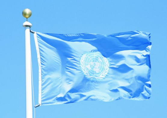 Finished Double-stitched United Nations Flag Canvas Header Two Brass Grommets