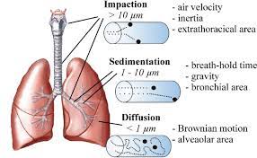 Bronchiolitis Mesh Portable Nebulizer Adult Vibrator 2.5μM Kids Inhaler For Asthma