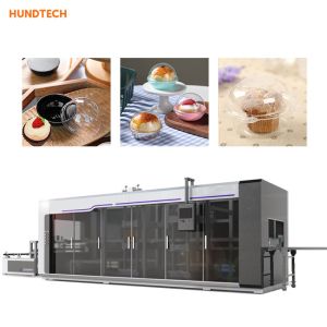 China Automatic disposable box making machine biodegradable thermoforming machine wholesale