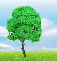 artificial MINI tree,model trees,model wire tree,architectural model trees,scale trees,model stuffs