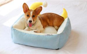 China Eco - Friendly Comfort Pet Beds , Cute Pet Beds Fashionable 3 Colors Available on sale