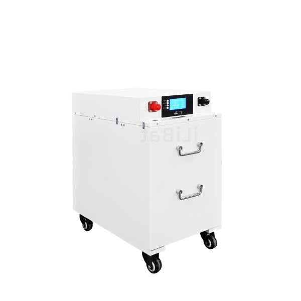 BMS OEM Lithium Ion Battery Big Power 10kwh 51.2 V 200ah Lifepo4 Lithium Battery