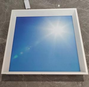 China Skylight blue sky clouds recessed 600x600mm decorative led ceiling panel light,decorative plate led panel wholesale