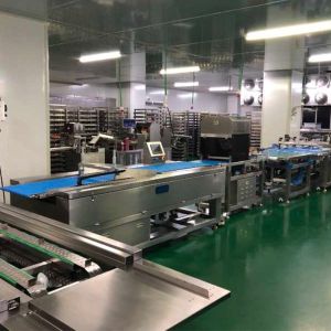 Multiple lanes horizontal pan arranging machine