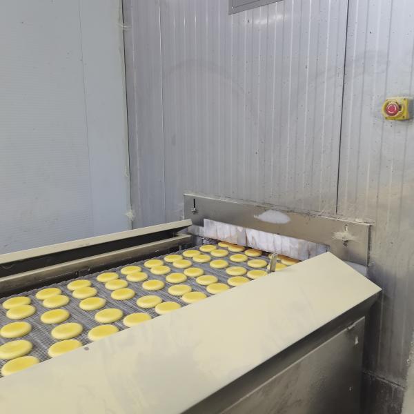 Customized Conveyor Quick Tunnel Freezer 1000kg/H Individual Quick Freezing Machine