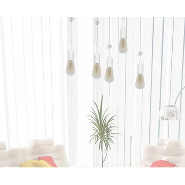 EU Plug to E26 Bulb Holder Cable with 303 Switch 250V 10A