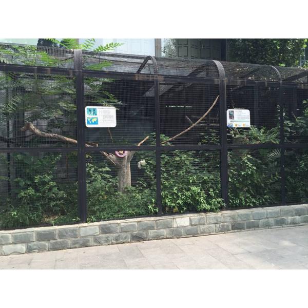 Black painting welded mesh as cage for small birds and in cage there are lots of plants.
