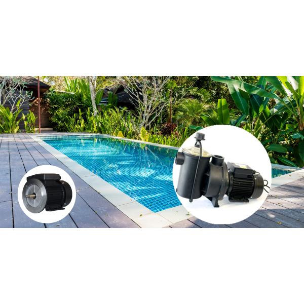 Low Noise Single Phase Induction Motor 2 Pole For Inground Swimming Pool Pump