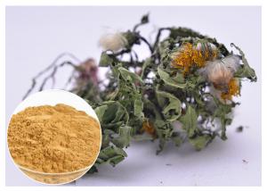 China Flavones Dandelion Root Extract Powder For Diuretic Whole Herb Extraction on sale
