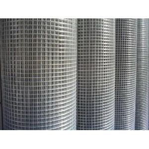 China 1/4 1/2 3/4 1 2 Inch Welded Wire Mesh Galvanized For Fence wholesale