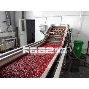 China Industrial Dates Processing Machinery Dates Drying Machine 20t/Hr wholesale