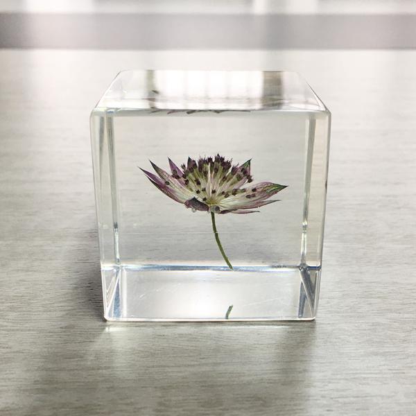 transparent cubic shaped resin paper weight with real dry flowers for home and office decor