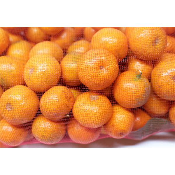 53*94cm Non Woven Mesh Net Bag for Mango Fruit Protection in Industrial Agriculture